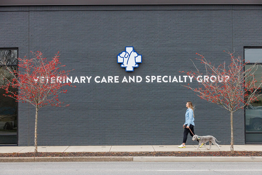 Contact Veterinary Care and Specialty Group
