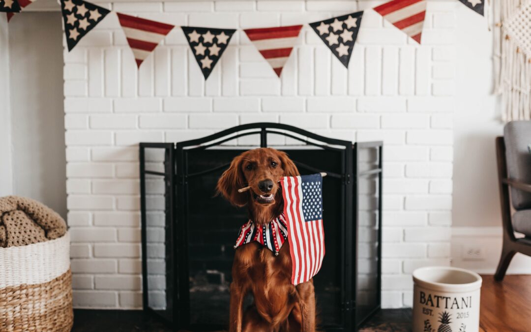 4th of July Pet Safety Tips