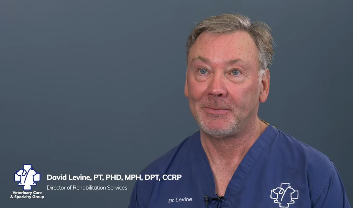 Dr David Levine, PT, PHD, MPH, DPT, CCRP