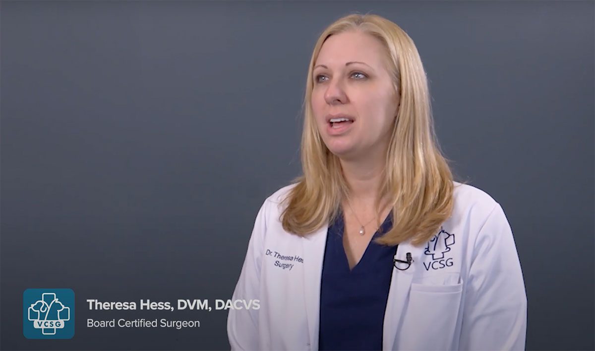 Dr. Theresa Hess