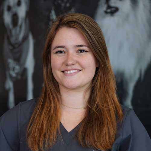 Morgan Formicola posing for a picture indoors