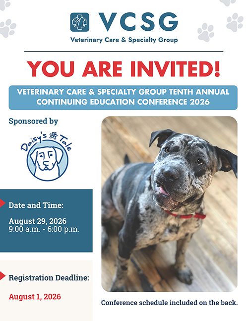 Vcsg Ce Conference Invitation 2026