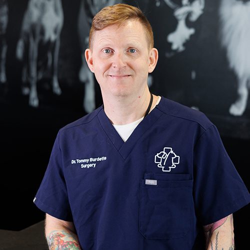 Dr Burdette