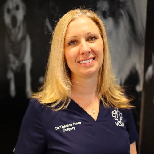 Dr. Hess
