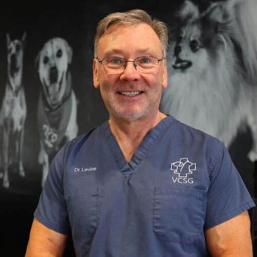 Dr. Levine