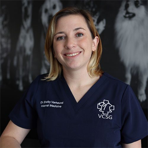 Dr. Verheuvel