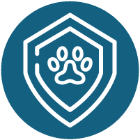 Focused Expertise Icon