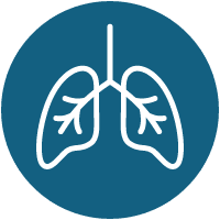 Oxygen & Airway Icon Oxygen & Airway Icon