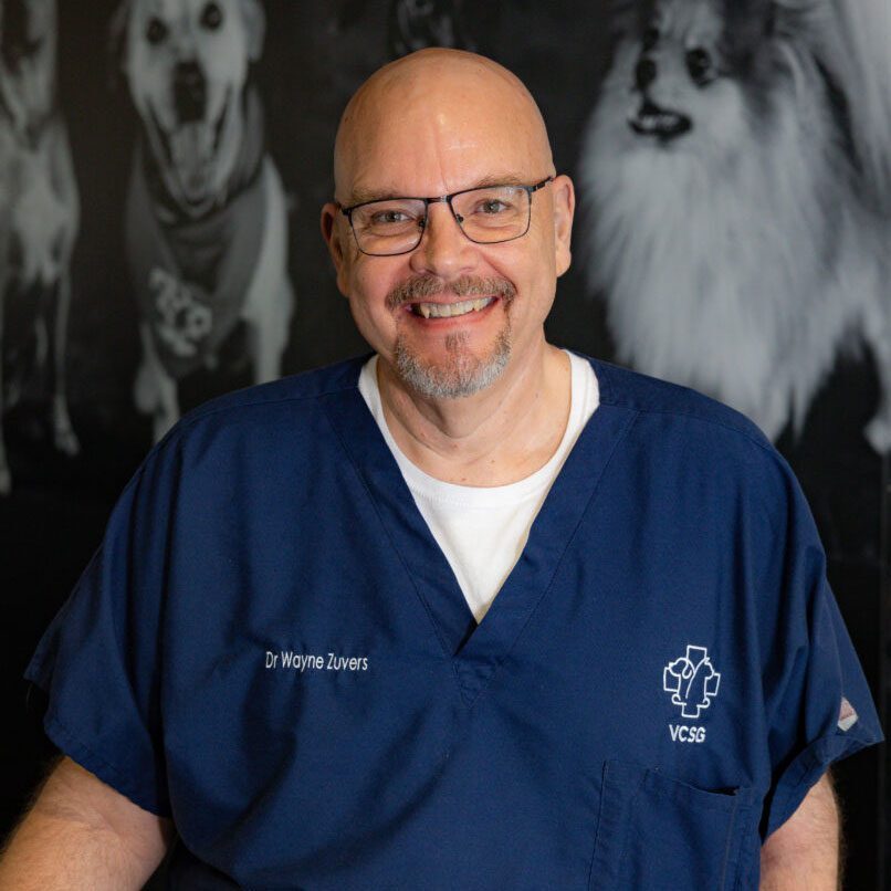 dr wayne vuzers in blue scrubs