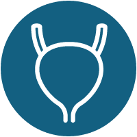 Bladder Icon Bladder Icon