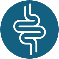 Digestive Tract Icon Digestive Tract Icon