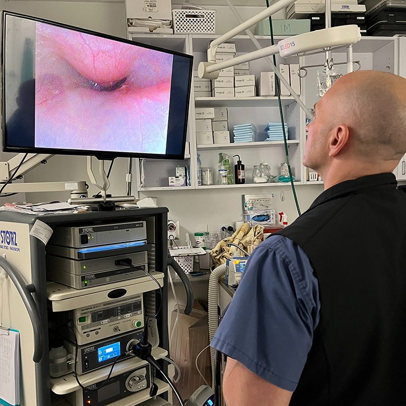 Internal Medicine Treatment doctor reviewing screen with imaging