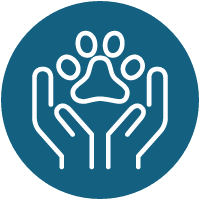 Manual Therapy Icon Manual Therapy Icon
