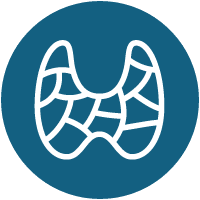 Thyroid Icon Thyroid Icon